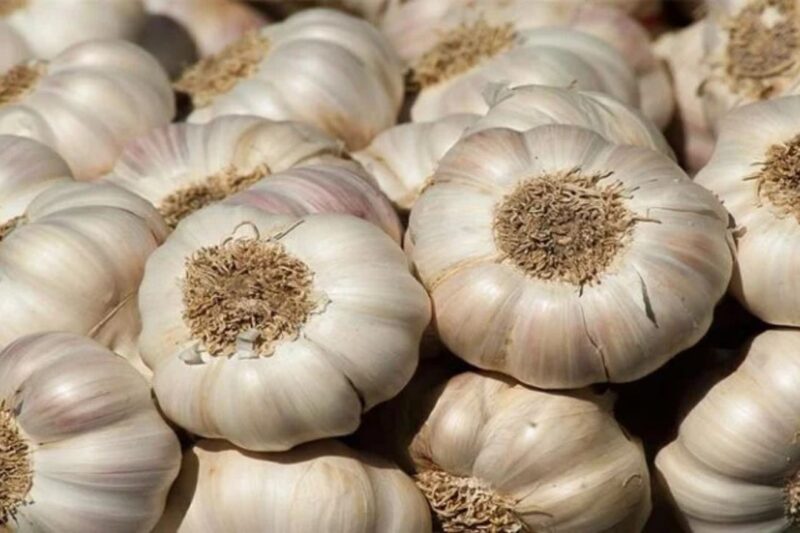 Lahsun Mandi Bhav 1 April 2026