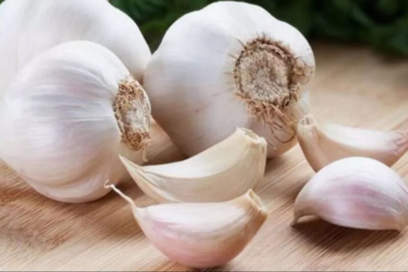 Lahsun Mandi Bhav 17 April 2026: देशभर में लहसुन के दाम स्थिर से मजबूत, नई फसल की आवक शुरू, किसानों को अच्छी कमाई की उम्मीद, जानें आज के ताजा लहसुन मंडी भाव