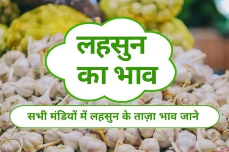 Lahsun Mandi Bhav 2 April 2026