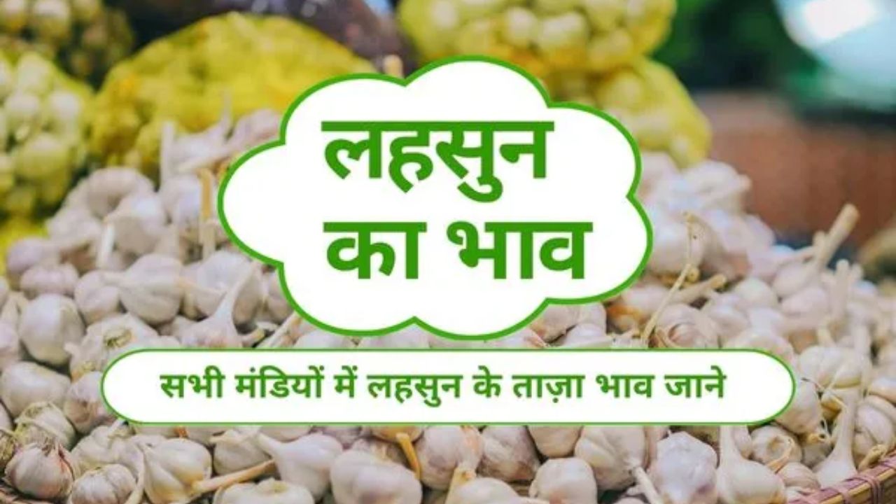 Lahsun Mandi Bhav 2 April 2026