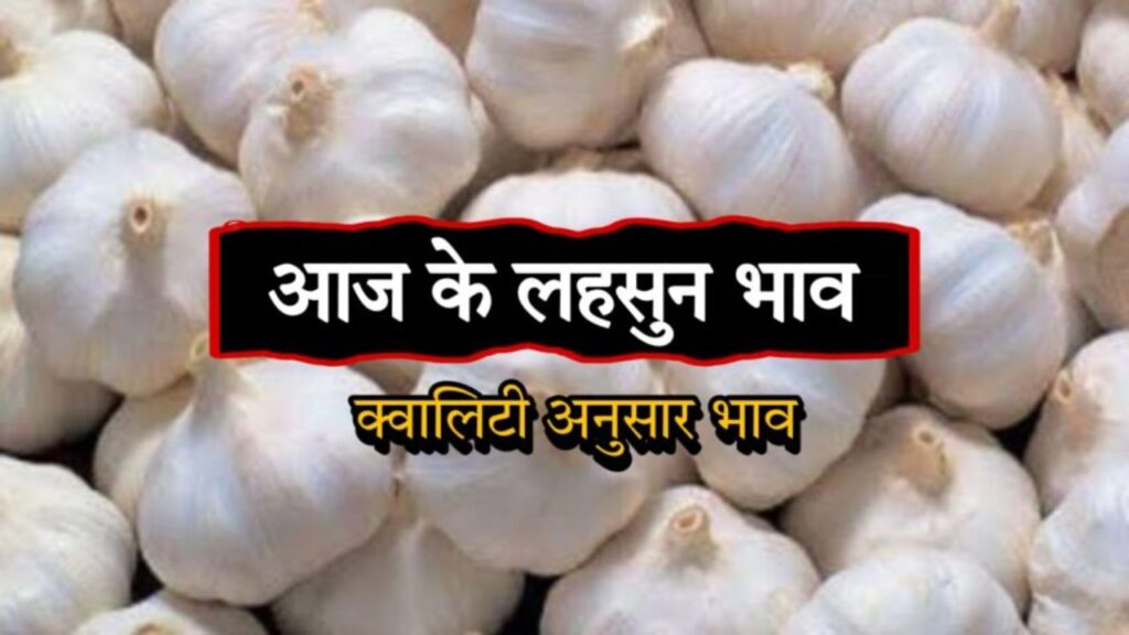 Lahsun Mandi Bhav 7 April 2026