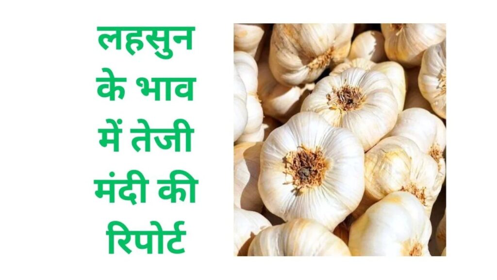 Lahsun Mandi Bhav 8 April 2026