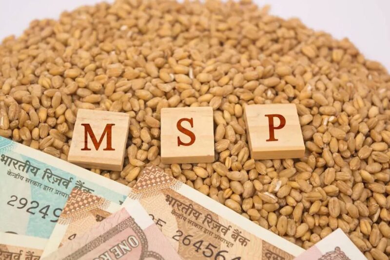 MSP Purchase: किसानों को बड़ी राहत, ओडिशा में 5 फसलों की MSP Purchase को केंद्र की मंजूरी, 1428 करोड़ का बजट
