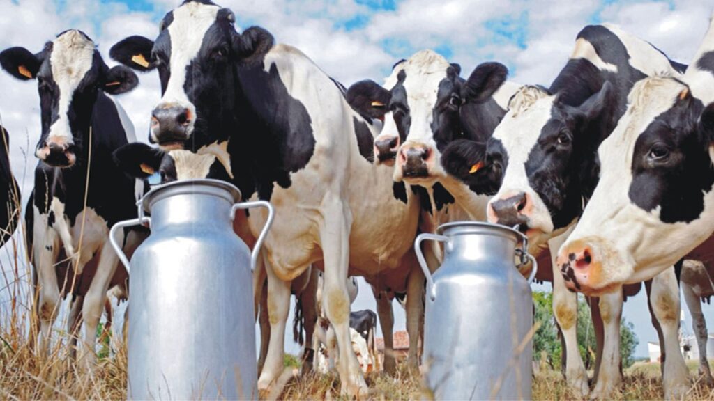 Milk Production in UP