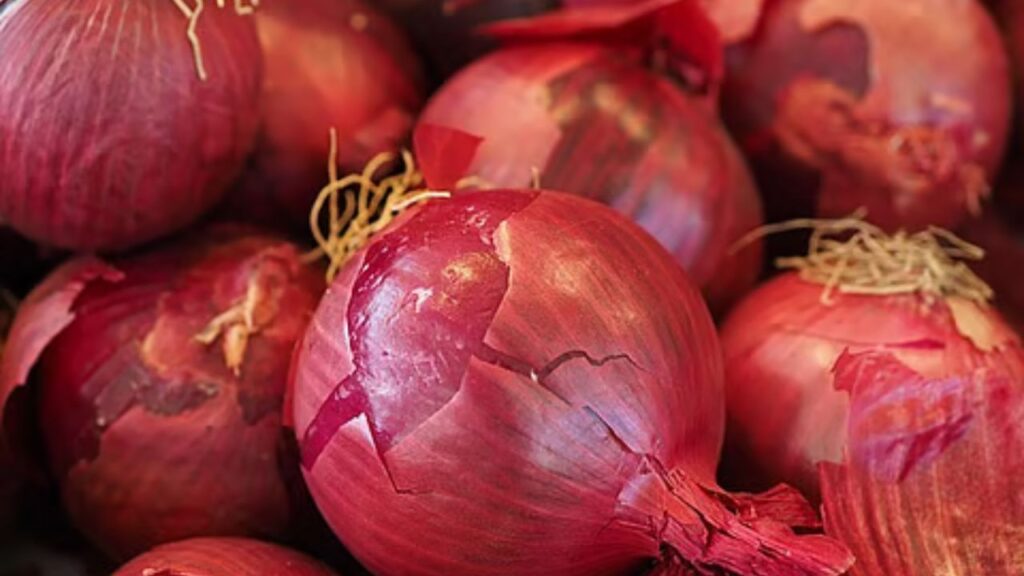 Onion Price Crisis