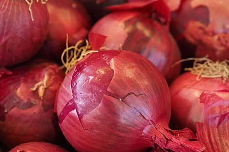 Onion Price Crisis: प्याज किसानों पर संकट का मंडराता साया, महाराष्ट्र में लागत से आधी कीमत पर बिक रहा प्याज, महायुति और MVA दोनों पर उठे सवाल