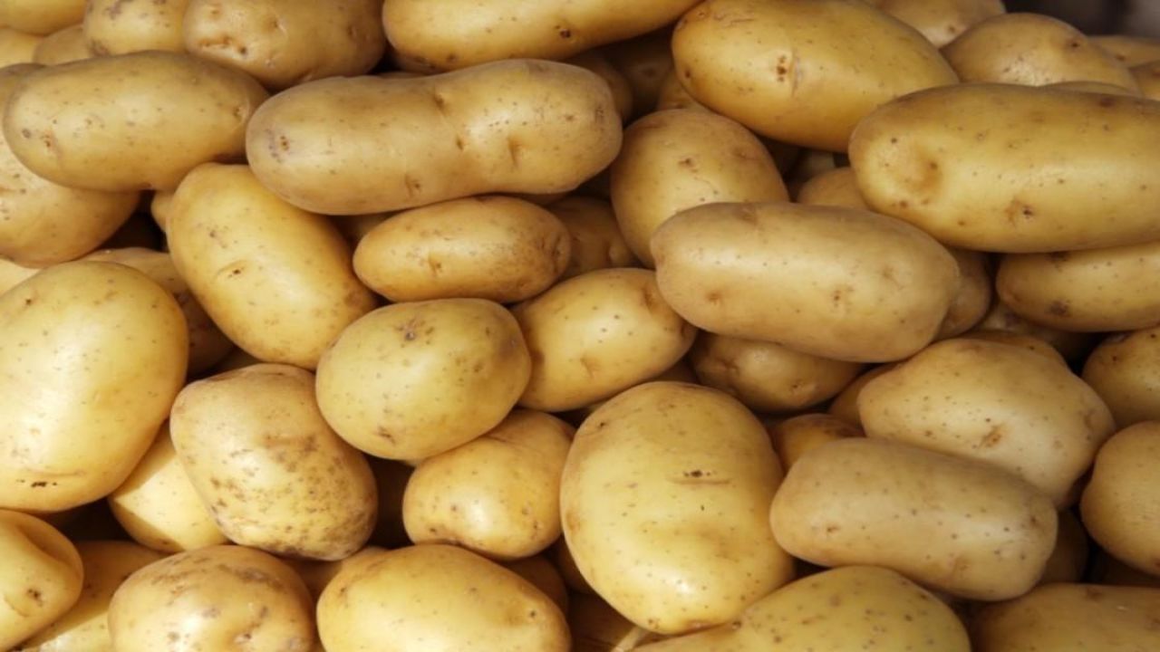 Potato Mandi Bhav 1 April 2026