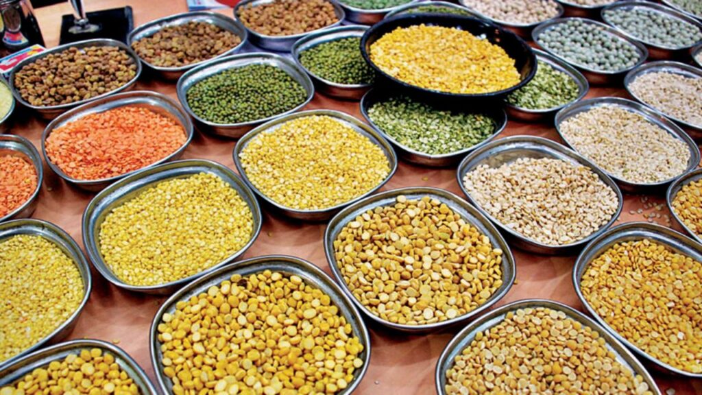 Pulses Import Policy
