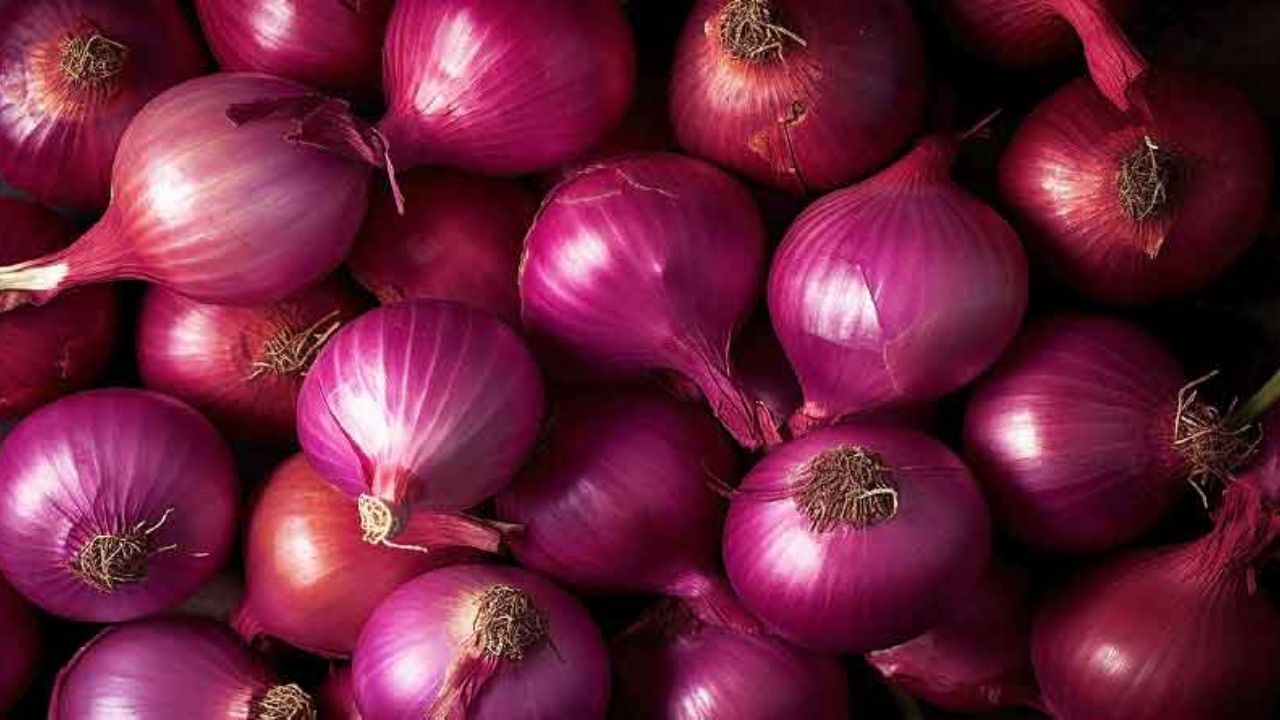 Pyaj Mandi Bhav 14 April 2026