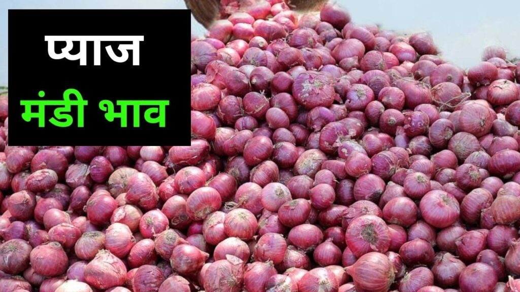 Pyaj Mandi Bhav 2 April 2026