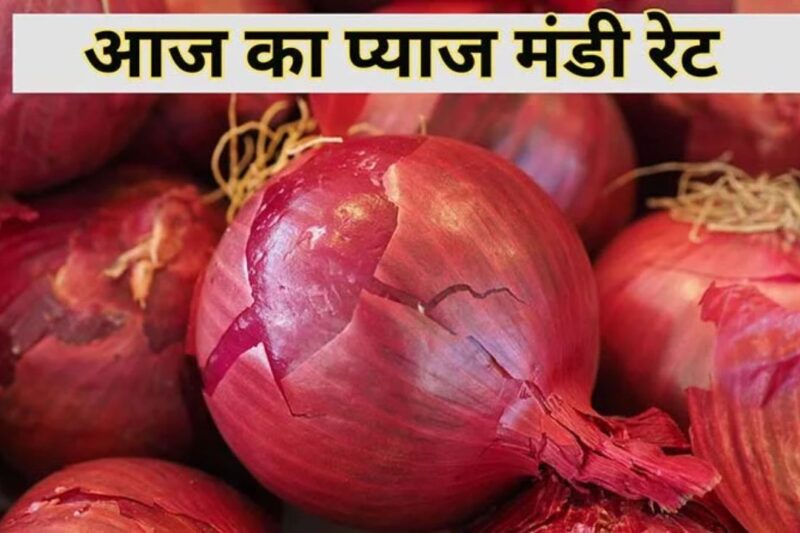 Pyaj Mandi Bhav 3 April 2026: शुक्रवार को सप्ताह के अंत में बाजार संतुलित, नासिक में 642 रुपये पर मजबूती, आवक घटकर 4900 टन पर, साप्ताहिक विश्लेषण से स्थिरता की पुष्टि, मई तक यही रुख जारी रहने की संभावना