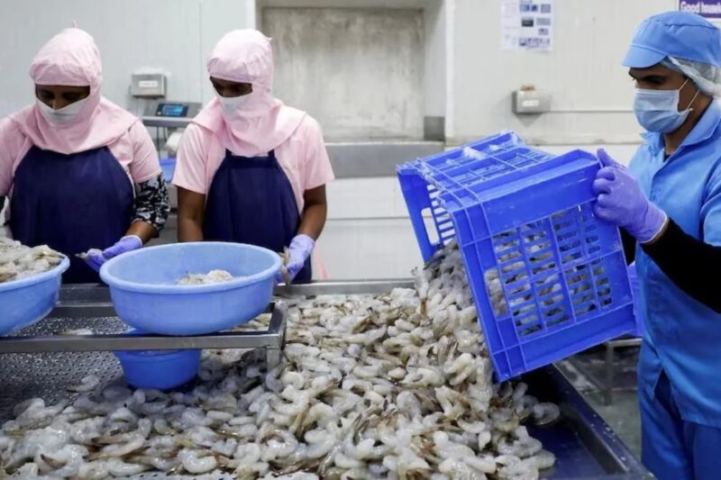 Seafood Export: सीफूड एक्सपोर्ट में 6 हजार करोड़ की बढ़ोतरी, अब 68 हजार करोड़ पर पहुंचा आंकड़ा, सरकार का लक्ष्य एक लाख करोड़, टूना और वैल्यू एडेड प्रोडक्ट्स पर फोकस