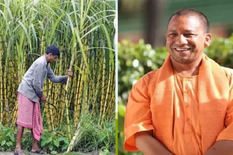 Sugarcane Payment: गन्ना किसानों का बकाया 32 गुना बढ़ा, ₹16,087 करोड़ का पहाड़, कर्नाटक-महाराष्ट्र-यूपी के किसान बेहाल, संसदीय रिपोर्ट में चौंकाने वाला खुलासा, जानें पूरा मामला