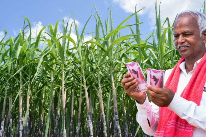 Sugarcane Survey Policy: उत्तर प्रदेश में गन्ना पेराई सत्र 2026-27 के लिए नई सर्वेक्षण नीति लागू, जीपीएस और ऑनलाइन घोषणा पत्र अनिवार्य किसानों को मिलेगा सटीक आंकड़ों और बड़े लाभ