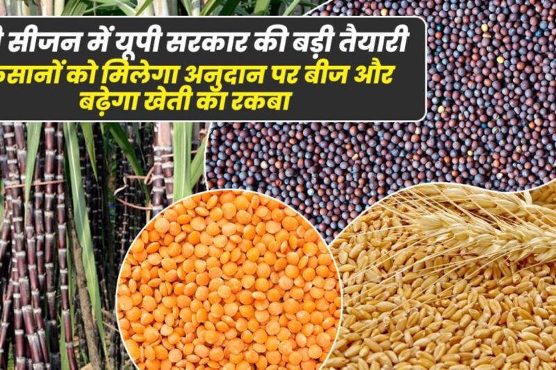 UP Seed Subsidy: संकर बीजों पर ₹15 करोड़ सब्सिडी, भंडारण के लिए ₹4 करोड़ का प्रावधान, उत्तर प्रदेश सरकार का बड़ा ऐलान, किसानों की उत्पादकता बढ़ाने और बीज सुरक्षा पर फोकस