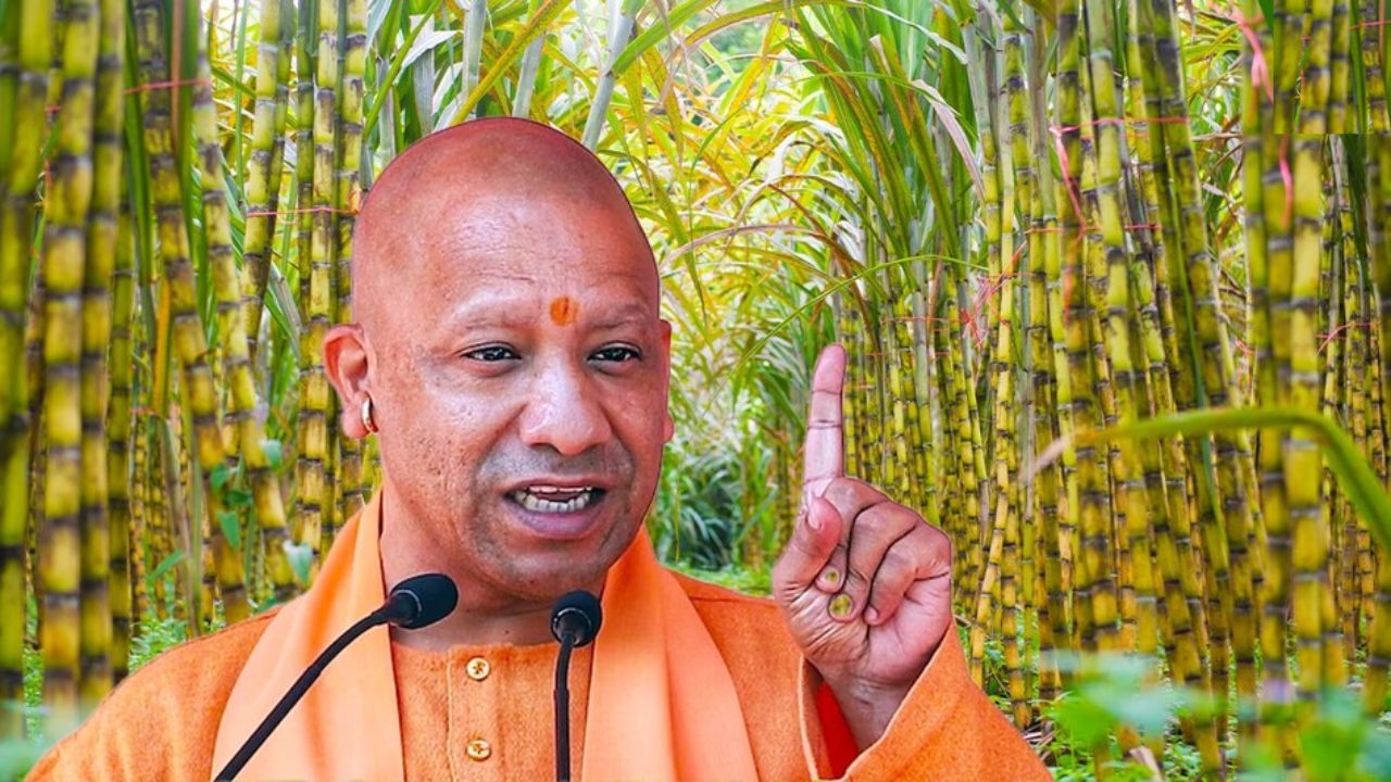 UP Sugarcane Farmers News