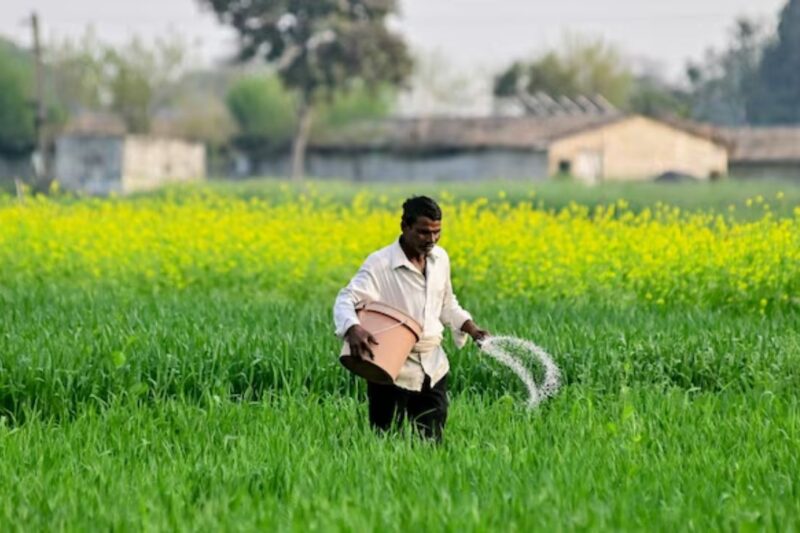 Urea-vs-Soil-Health: यूरिया का अंधा मोह, खेत की मिट्टी और पैदावार को कर न दे स्वाहा, किसान भाइयों को अब बदलना होगा खाद का तरीका