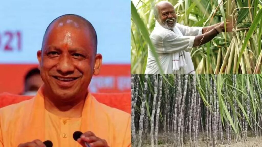 Uttar Pradesh Farmer News