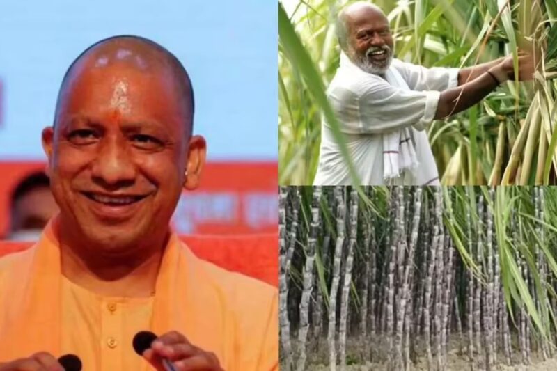 Uttar Pradesh Farmer News: सरकार टॉप गन्ना उत्पादक किसानों और समय पर भुगतान करने वाली मिलों को देगी मुख्यमंत्री पुरस्कार, किसानों की आय बढ़ाने की नई पहल