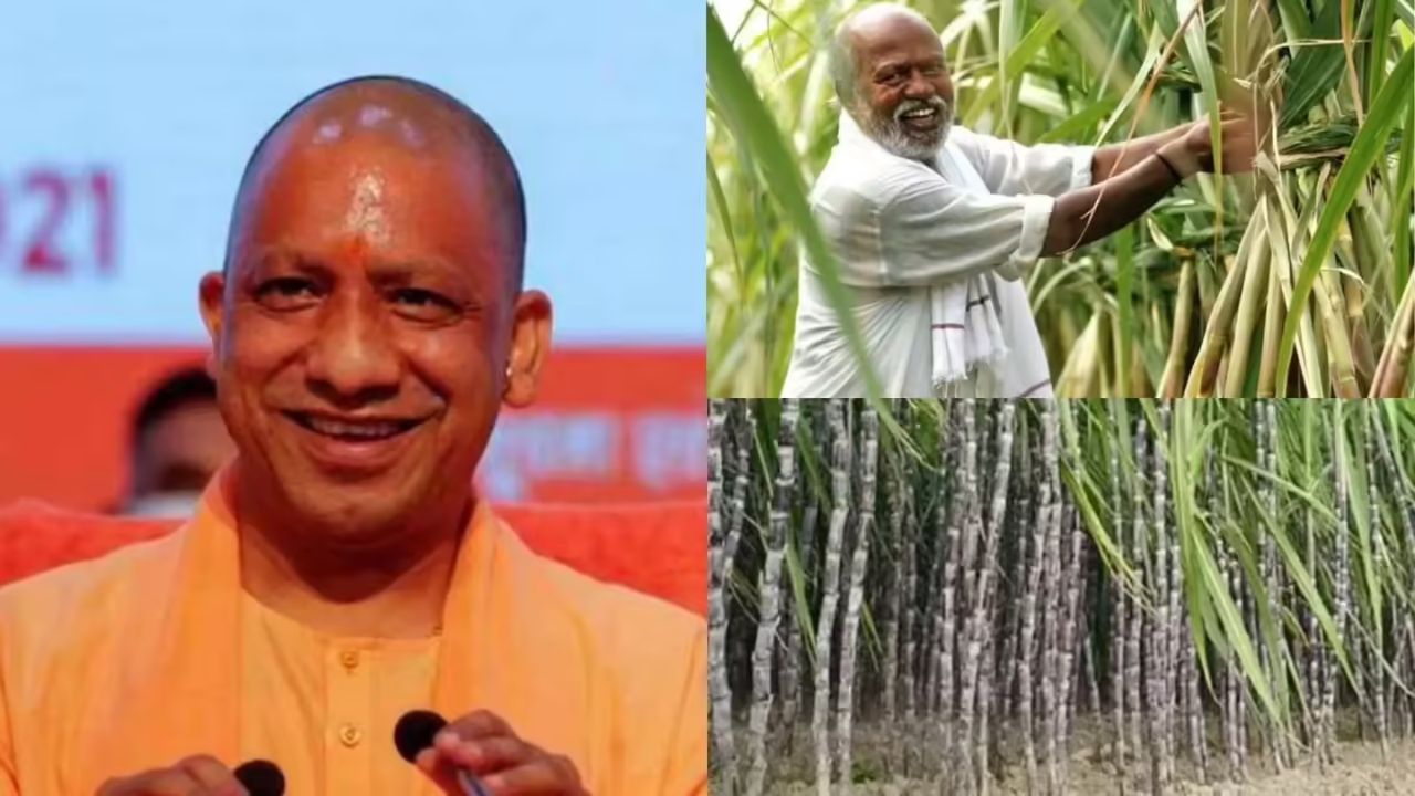 Uttar Pradesh Farmer News