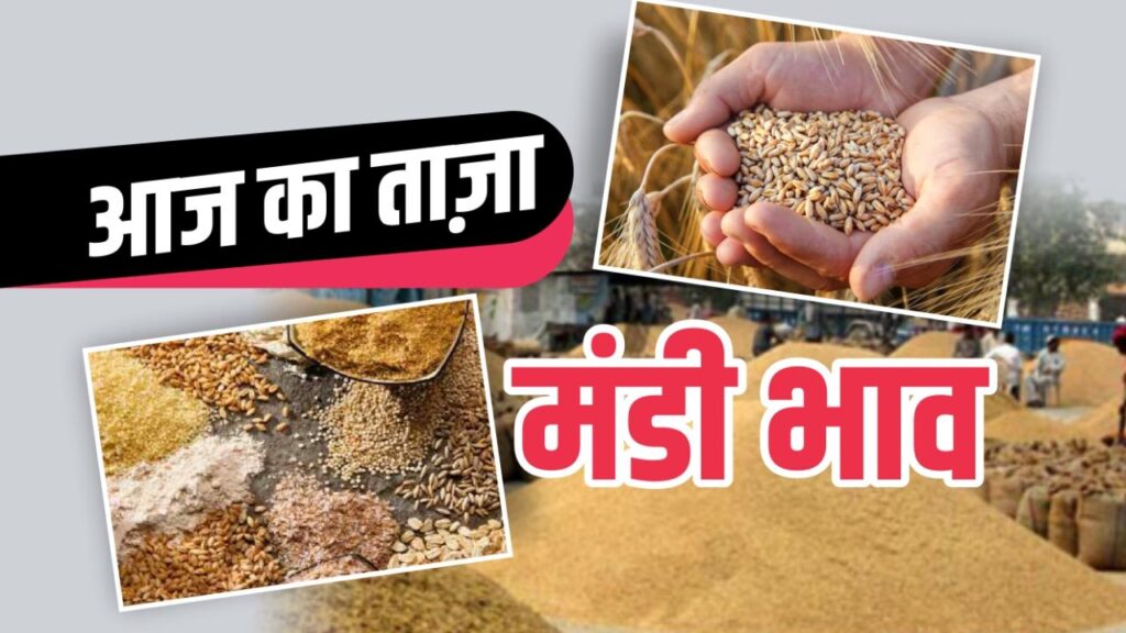 Wheat Mandi Bhav 30 April 2026