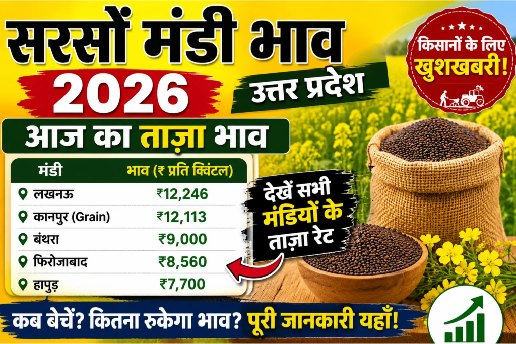 Sarso Mandi Bhav 2026
