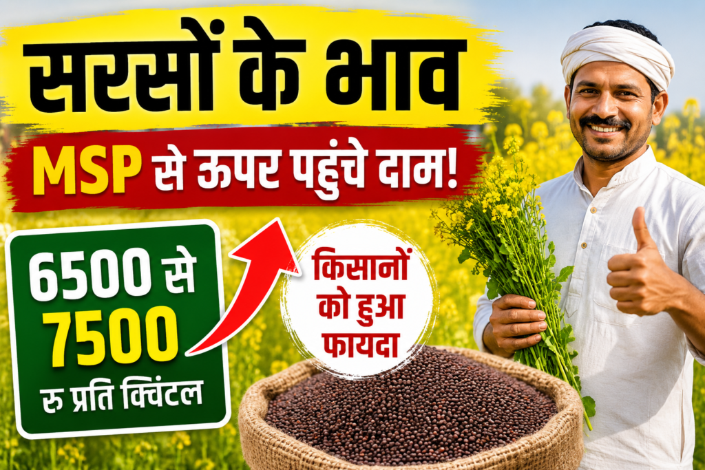 Sarson Ke Bhav