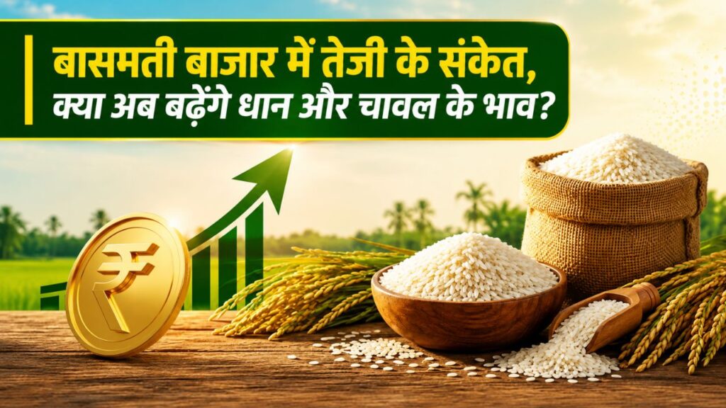 Basmati Price Hike