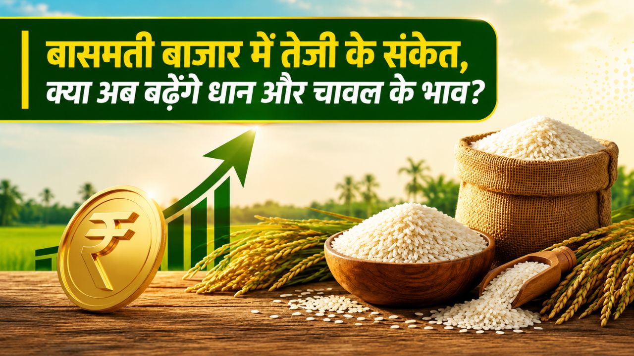 Basmati Price Hike