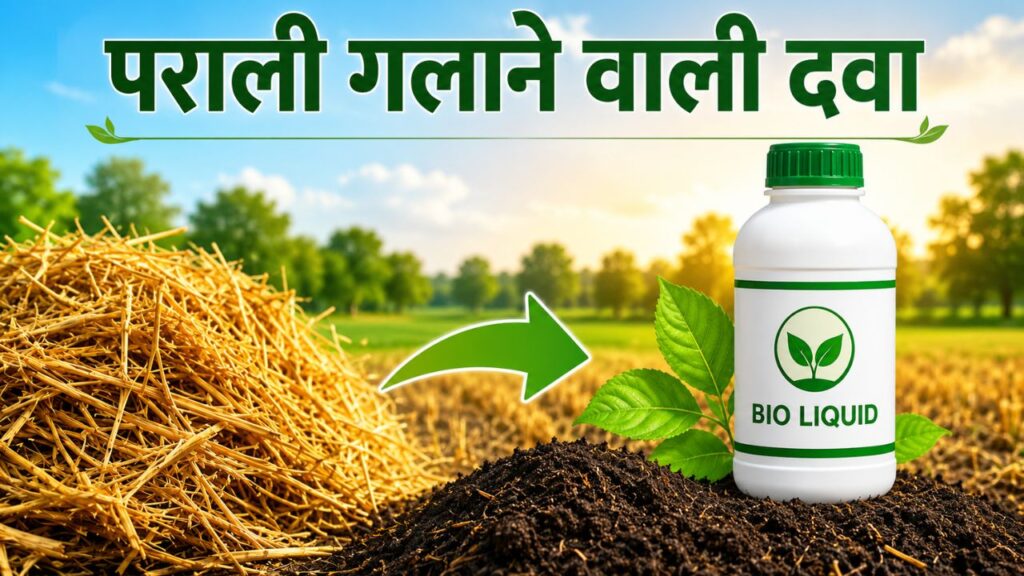 Bio Liquid Fertilizer