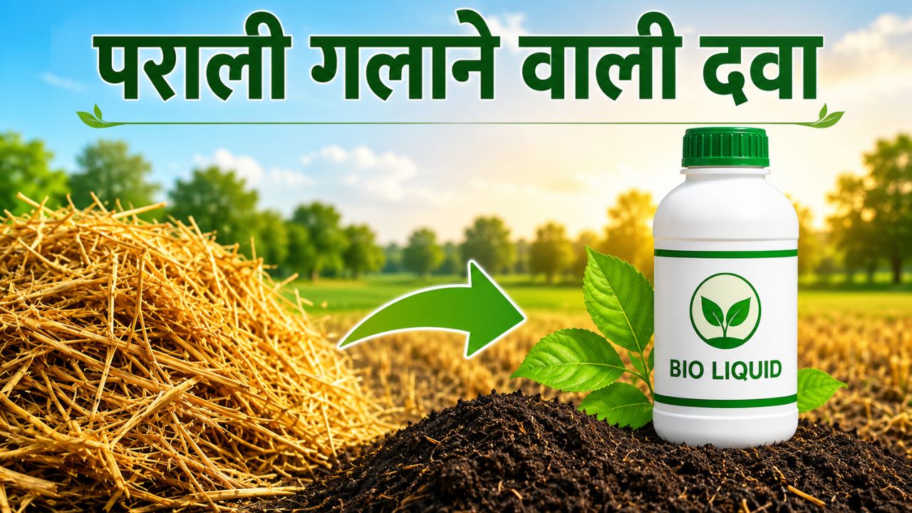 Bio Liquid Fertilizer