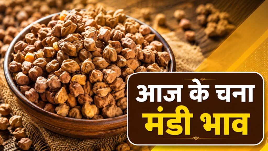 Chana Mandi Bhav 13 May 2026