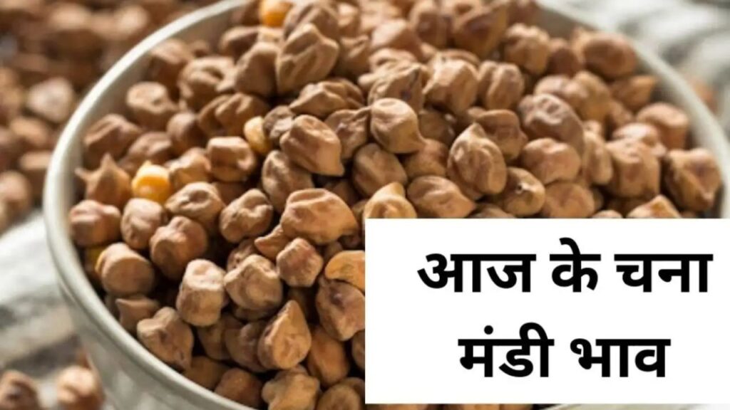 Chana Mandi Bhav 8 May 2026