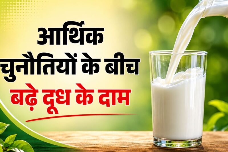 Milk Price Hike: देशभर में दूध महंगा, मदर डेयरी ने 2 रुपये लीटर बढ़ाए दाम, 14 मई से लागू; अमूल ने भी किया ऐलान