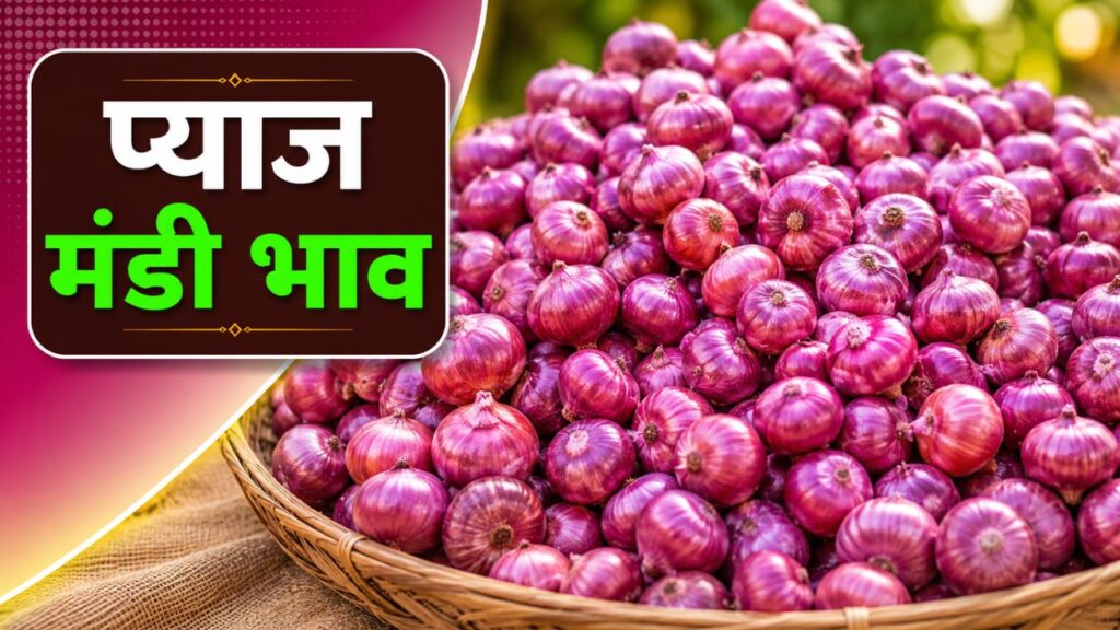 Pyaj Mandi Bhav 14 May 2026