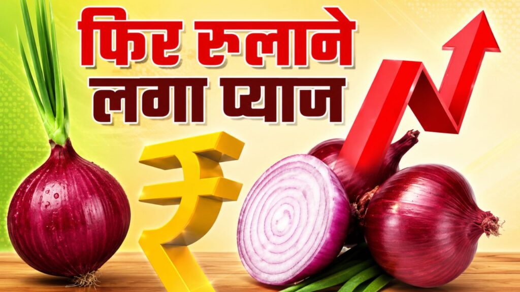 Pyaj Mandi Bhav 15 May 2026