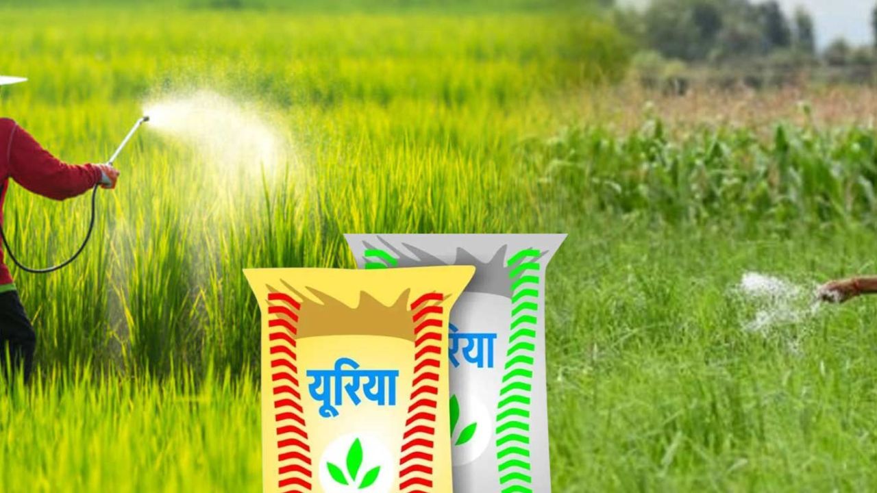 Urea Production in India