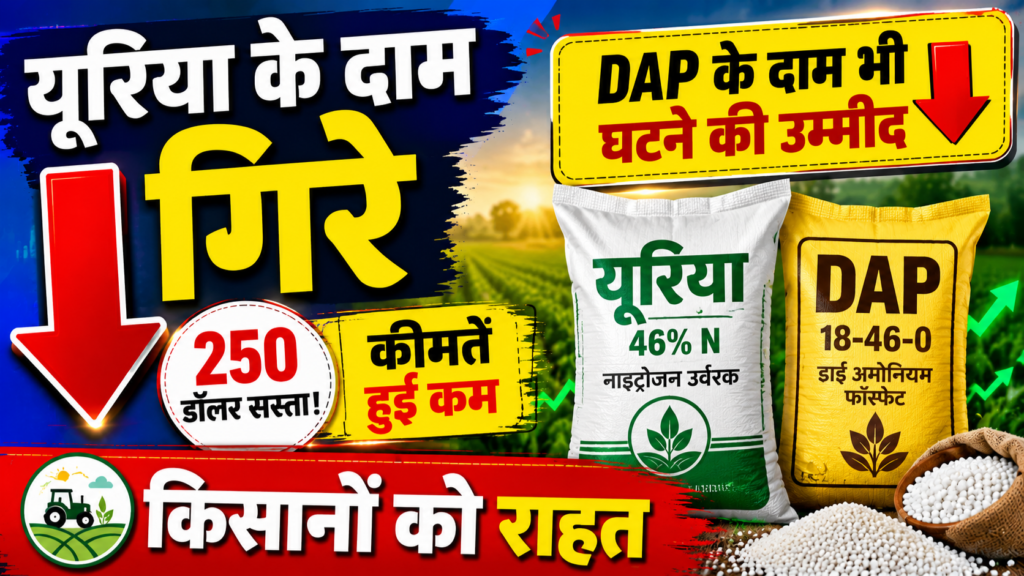 Urea Price Drop 2026