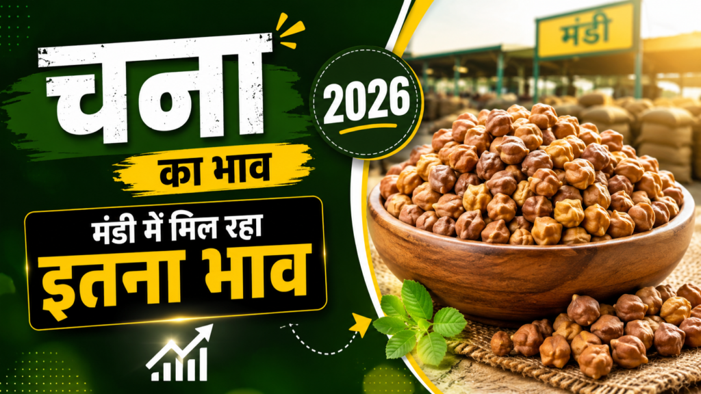 Chana Ka Bhav