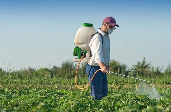 Farmer spraying crop with backpack sprayer