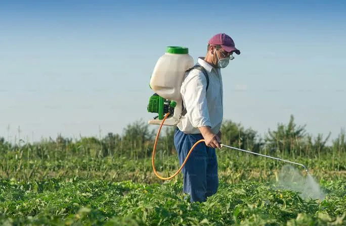 Farmer spraying crop with backpack sprayer