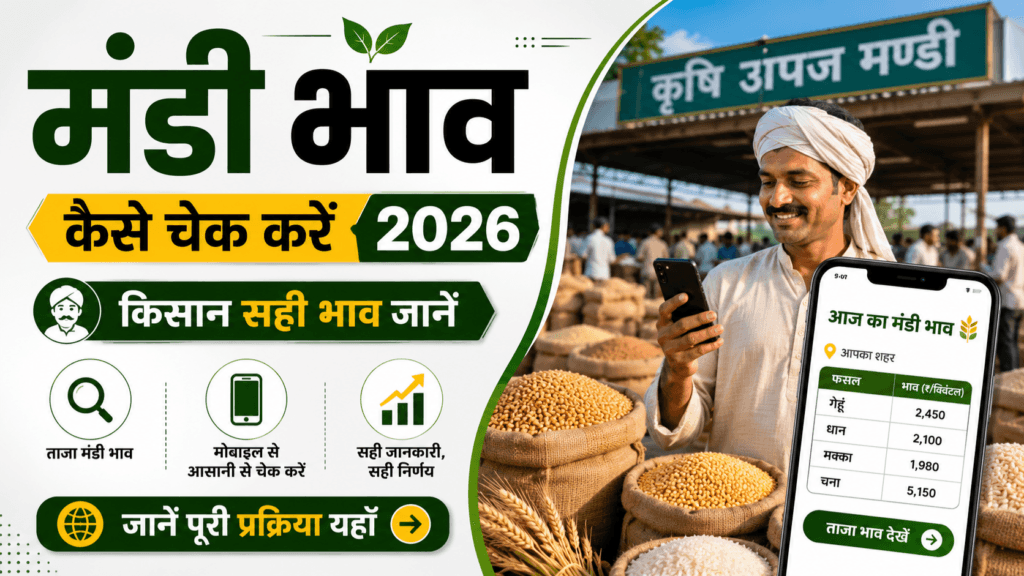 Mandi Bhav Kaise Check Kare 2026 - किसान मंडी भाव देखते हुए