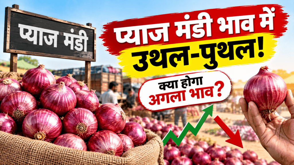 Pyaj Mandi Bhav में तेजी - आवक और मांग का असर