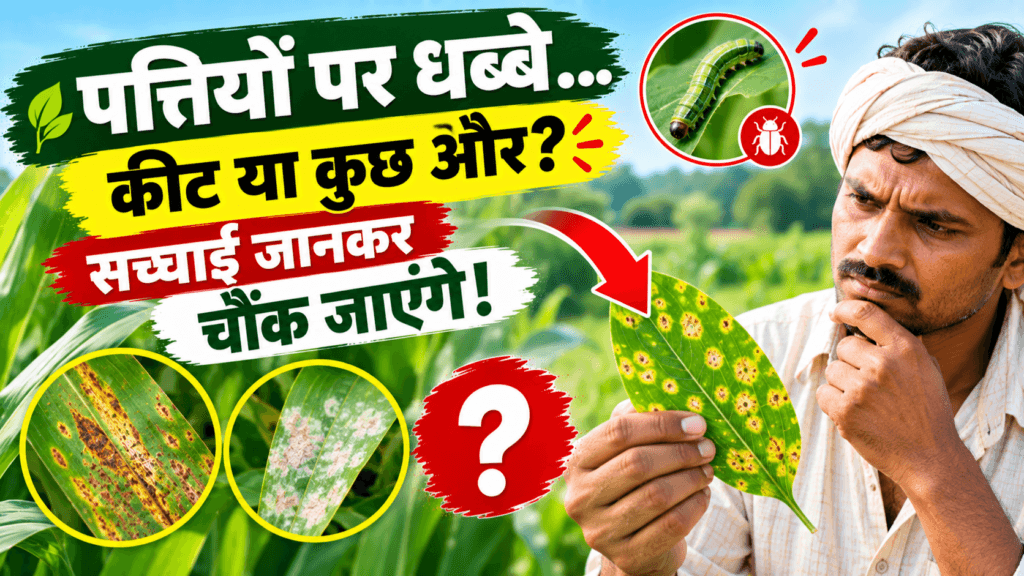 Faslon ko keet aur Rogon se kaise Bachayen - पत्तियों पर धब्बे और कीट के लक्षण