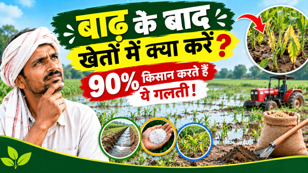 Baadh ke baad kheton mein kya karein - फसल बचाने के उपाय